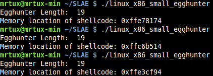 linux_small_egghunter-1
