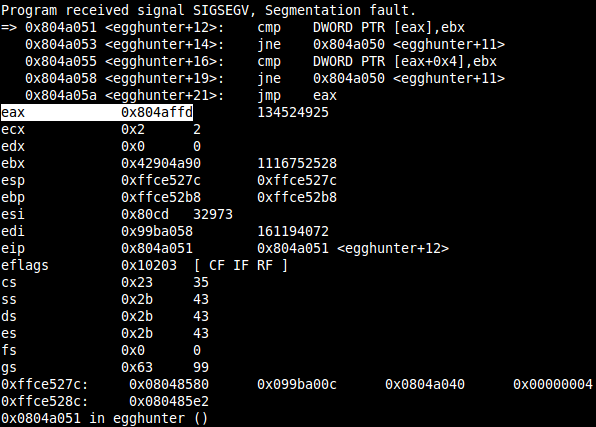 linux_small_egghunter-5