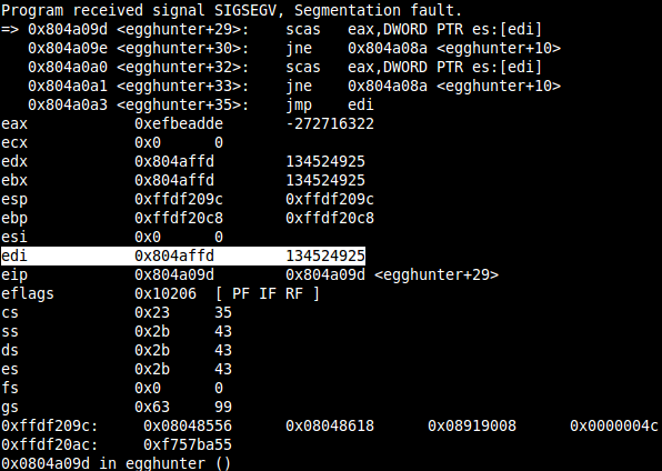 linux_small_egghunter-6