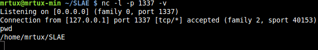 linux_small_egghunter-8