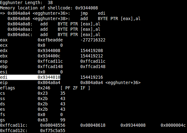 linux_small_egghunter-9