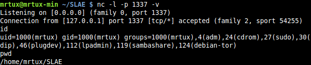 linux_x86_shell_reverse_tcp-4