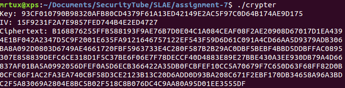 slae-7-1