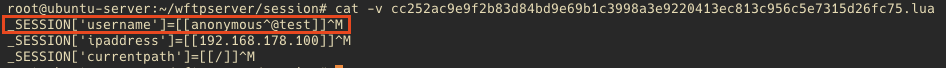 What the NULL?! Wing FTP Server RCE (CVE-2025-47812) 9 What the NULL?! Wing FTP Server RCE (CVE-2025-47812)